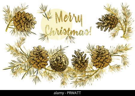 Realistische botanischen Tuschezeichnung des Fir Tree Branches mit Pine Cone in Gold Farbe auf weißem Hintergrund. Stock Vektor