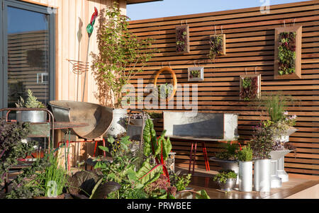 Kleiner Balkon, Terrasse, Garten mit Gemüse und Kräutern, die in wiederverwendeten, ungewöhnlichen Behältern wachsen, Sempervivum Pflanzen, vertikaler Garten in Großbritannien Stockfoto