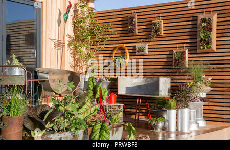 Kleiner Balkon Terrasse Gemüsegarten mit Gemüsekräutern, die in wiederverwendeten, ungewöhnlichen Behältern wachsen, Sempervivum Pflanzen vertikale Gartenanlagen in Großbritannien Stockfoto