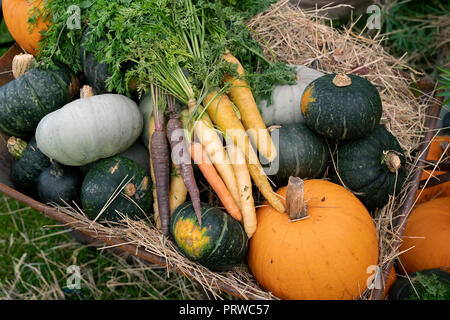 Daucus carota und Cucurbita pepo. Kürbis, Kürbis und traditionelle Karotten werden in einer alten Schubkarre ausgestellt. VEREINIGTES KÖNIGREICH Stockfoto