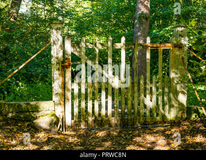 Alte, abgetragene rusty Holz weiß lackiert Gate im Herbst Schatten und dappled Sonnenlicht, Gosford Estate, East Lothian, Schottland, Großbritannien Stockfoto