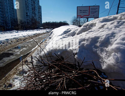 Bush Zweige unter dem schmelzenden Schnee, Moskau Stockfoto