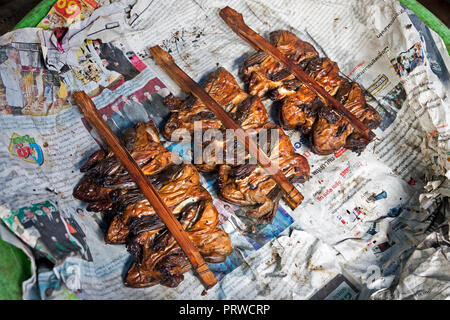 Gebratene grüne Frösche auf Sticks. Eine traditionelle Köstlichkeit auf Eisenbahnschienen Maeklong Markt, Bangkok, Thailand. Stockfoto