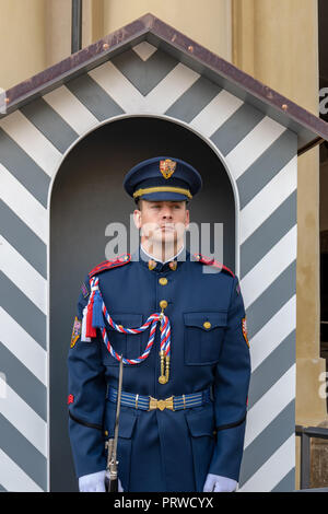 Castleguard auf Aufgabe auf der Prager Burg in der Tschechischen Republik Stockfoto