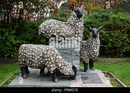 Schafe in Castlefield Stockfoto