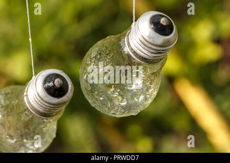 Nass vom Regen Lampen hängen an einem natürlichen Hintergrund, Hintergrundbilder. Stockfoto