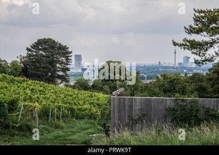 Blick auf die Stadt Wien von Kahlenberg Weinland mit Gewitterwolken über dem Horizont berühmten europäischen Weinregionen Österreich, Mitteleuropa Stockfoto