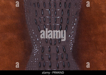 Braune Haut Textur Reptil mit Wildleder Stockfoto