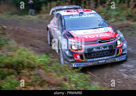 Clocaenog, UK. 4. Okt, 2018. WRC Dayinsure Wales Rally GB, Shakedown; Citroen Total Abu Dhabi WRT Treiber Craig Breen und Co - Treiber Scott Martin in Ihrem Citroen C3 WRC Credit: Aktion plus Sport/Alamy leben Nachrichten Stockfoto