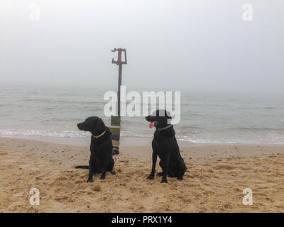 Sandbänke. 5. Okt 2018. UK Wetter: Von einem angenehmen Morgen im Canford Klippen und Sandbänken Strand mit ein wenig Nebel am Horizont fast sofort einen dicken kalten Nebel und Dunst. 5. Oktober 2018 Credit Suzanne McGowan/Alamy leben Nachrichten Stockfoto