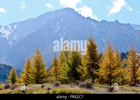 Zhangye. 4. Okt, 2018. Foto auf der 4. Oktober 2018 zeigt die Herbst Landschaft des Qilian Berge in der Tibetischen Gemeinde von Mati in Sunan Yugur autonomen County im Nordwesten der chinesischen Provinz Gansu. Credit: Wang Jiang/Xinhua/Alamy leben Nachrichten Stockfoto