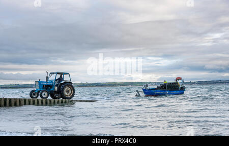 Knockadoon, Cork, Irland. 05. Oktober, 2018. Bernard O'Brien Hols seine Söhne Gavin und Vincent's Boot silver Tide" auf der Helling, nachdem sie von der Fischerei mit einem Fang von Garnelen an Knockadoon, Co Cork, Irland zurück. Quelle: David Creedon/Alamy leben Nachrichten Stockfoto