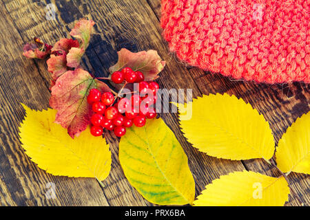Viburnum Zweig, rot Strickmütze und Herbst gelbe Blätter auf hölzernen Hintergrund Stockfoto
