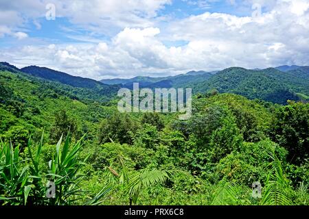 Die Nam Ha NPA, in Luang Namtha Provinz gelegen, ist Lao s First National Park und einem ASEAN-nationales Kulturerbe. Es ist die zweite größte nationale Stockfoto