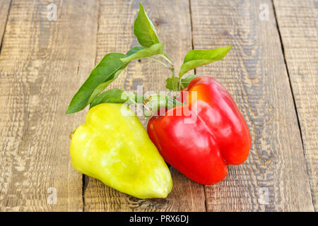 Nur reife rote und gelbe Paprika auf Holzbrettern abgeholt. Bulgarische oder Paprika. Stockfoto