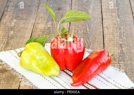 Nur reife rote und gelbe Paprika liegen auf dem Handtuch mit Ornament auf Holzbrettern abgeholt. Bulgarische oder Paprika. Stockfoto