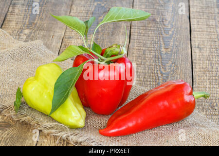 Nur reife rote und gelbe Paprika liegen auf der Sack auf Holzbrettern abgeholt. Bulgarische oder Paprika. Stockfoto