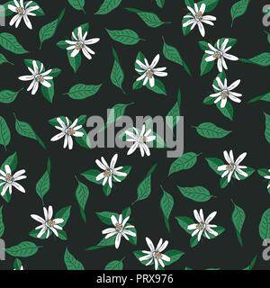Die nahtlose Vektor Muster von Blumen und Blätter der Tangerine tree auf schwarzem Hintergrund Stock Vektor