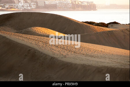 Blick auf die Dünen von Maspalomas ist eine einzigartige wild in Gran Canaria, Spanien, Stockfoto