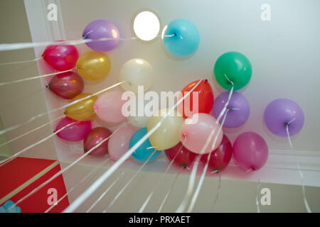 Luftballons schwebend an der Decke. Bunte Luftballons schweben auf die weiße Decke im Zimmer für die Partei. Hochzeit oder Kindergeburtstag Dekoration Interieur. Helium Luftballons Stockfoto