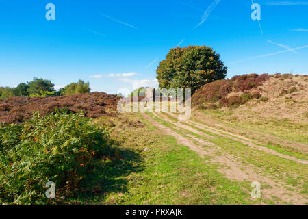 Eine ausgefahrene Fußweg führt bergauf in Richtung der alten Monolith als Kork Stein auf Stanton Moor bekannt. Stockfoto