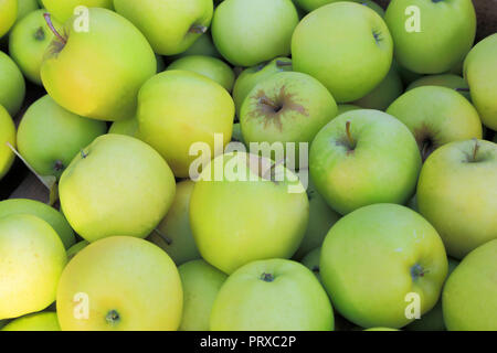 Apple, 'Oakham Pippin', Äpfel, Malus Domestica, Hofladen, Display, Essbar, Obst Stockfoto