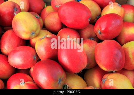 Apple, 'Oakham Pippin', Äpfel, Malus Domestica, Hofladen, Display, Essbar, Obst Stockfoto