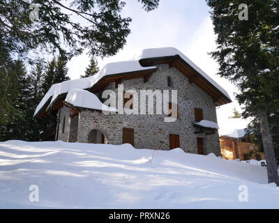 Snowed-under alpine Chalet Haus in San Bernardino im Winter, mit Nadelbäumen umgeben, Graubünden, Schweiz Stockfoto