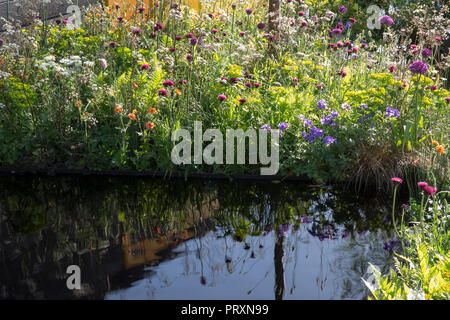 Dunkle reflektierenden Pool, Stil Wiese Anpflanzung von Allium hollandicum 'Purple Sensation', Cirsium rivulare 'Atropurpureum', Geum 'Totally Tangerine', Myrr Stockfoto