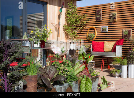 Kleiner Balkon Gemüsegarten Garten Salat Mangold Grünkohl wächst in umgebauten, ungewöhnlichen Metallbehältern vertikaler Garten in Großbritannien Stockfoto