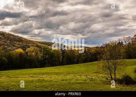 Bäume Pleasant Valley, Connecticut, USA Stockfoto