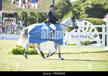 Celebs nehmen an der Hampton Classic Pferdeshow in Bridgehampton Mit: McLain Ward, Wo: Bridgehampton, New York, United States Wenn: 02 Sep 2018: Rob Rich/WENN.com Stockfoto