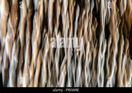 Abstrakte Licht Muster von Bewegungsunschärfe von Regal Pilze - North Carolina erstellt Stockfoto