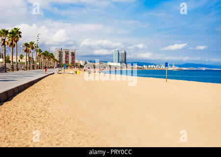 Playa de la Barceloneta Strand der Stadt im Zentrum der Stadt Barcelona, Katalonien Region von Spanien Stockfoto