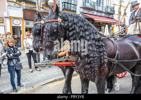 Sevilla, Spanien - 15 April, 2018: schöne schwarze Pferde ziehen einer Kutsche in Sevilla April Messe (Feria de Abril de Sevilla) Stockfoto