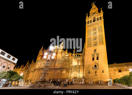 Die spektakuläre und beleuchteten Kathedrale von Sevilla (oder Kathedrale der Heiligen Maria des Siehe) und Giralda bei Nacht, der weltweit größten gotischen Kathedra Stockfoto