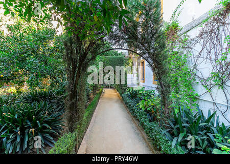 Sevilla, Spanien - 28. Oktober 2017: Gärten der Palast der Herzöge von Alba oder Palacio de las Duenas Stockfoto