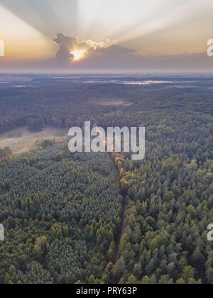 Schöne misty Abend Landschaft von drone fotografiert. Magische Atmosphäre. Stockfoto