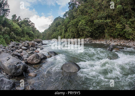 Höhe Fluss durch den Nebelwald im Manu Nationalpark, Peru fließt. Stockfoto