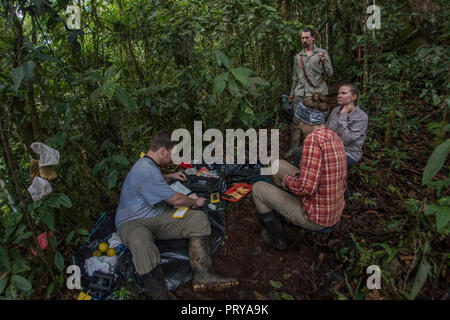 Eine Gruppe von Biologen eine Studie im Dschungel, sie haben eine remote Field Site, wo Sie von der Arbeit. Stockfoto