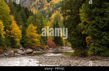 Herbst Farbe entlang McDonald Creek in der Nähe von Red Rock Point im Glacier National Park in Montana. Stockfoto