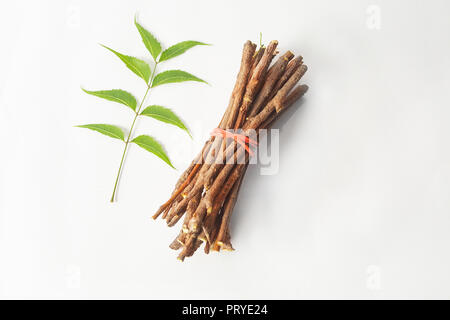 Neem Holzstäbchen mit Neem Neem Blätter und Blumen. Weiß isoliert Hintergrund Stockfoto