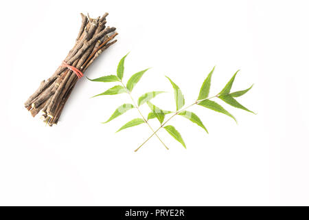 Neem Sticks und Neem Blätter. Weiß isoliert Hintergrund Stockfoto