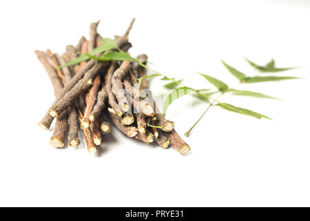 Neem Sticks und Neem Blätter. Weiß isoliert Hintergrund Stockfoto