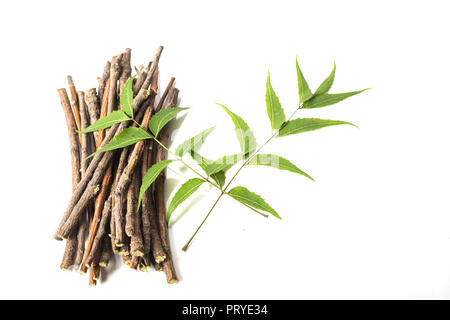 Neem Sticks und Neem Blätter. Weiß isoliert Hintergrund Stockfoto