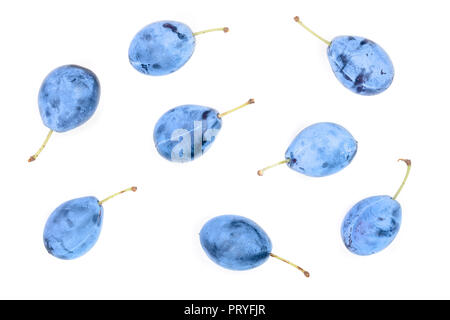 Pflaumen isoliert auf einem weißen Hintergrund. Ansicht von oben. Flach Muster. Stockfoto