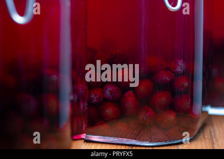 Schlehe in Gläsern gemischt mit Gin und Zucker zu infundieren und Sloe Gin. Stockfoto