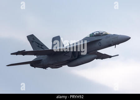 Royal Australian Air Force (RAAF) Boeing F/A-18F Super Hornet multirole Fighter Aircraft ein 44-203 bei RAAF Amberley in Queensland. Stockfoto