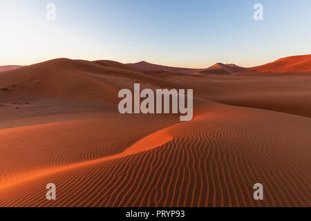 Afrika, Namibia, Namib, Naukluft National Park, Sand dune im Morgenlicht bei Sonnenaufgang Stockfoto