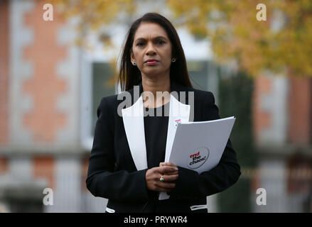 Spoiler Gina Miller kommt an der Sean Hollywood Arts Center in Newry, in einer Diskussionsveranstaltung auf Brexit und der irischen Grenze beteiligen. Stockfoto